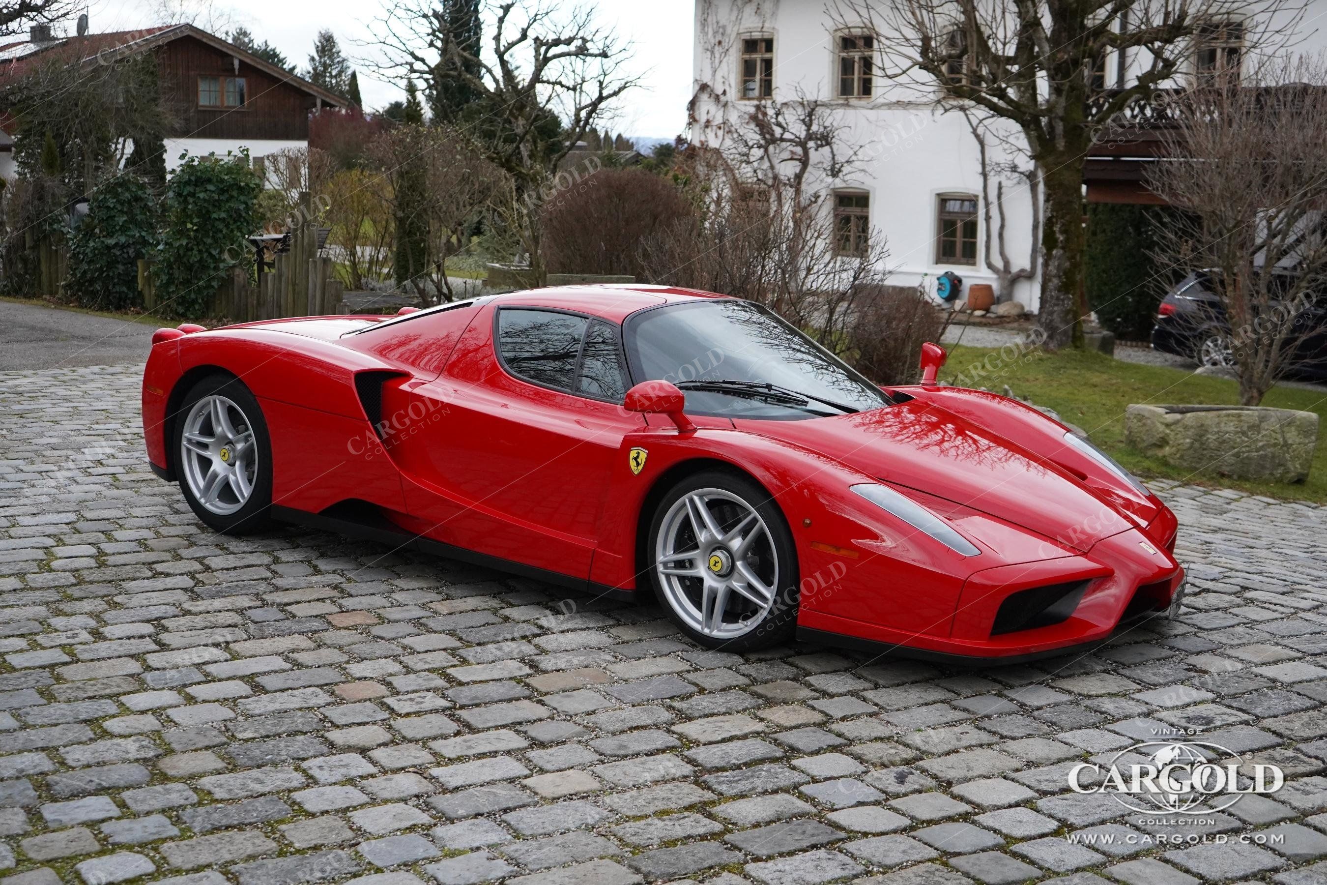 Ferrari Enzo 10