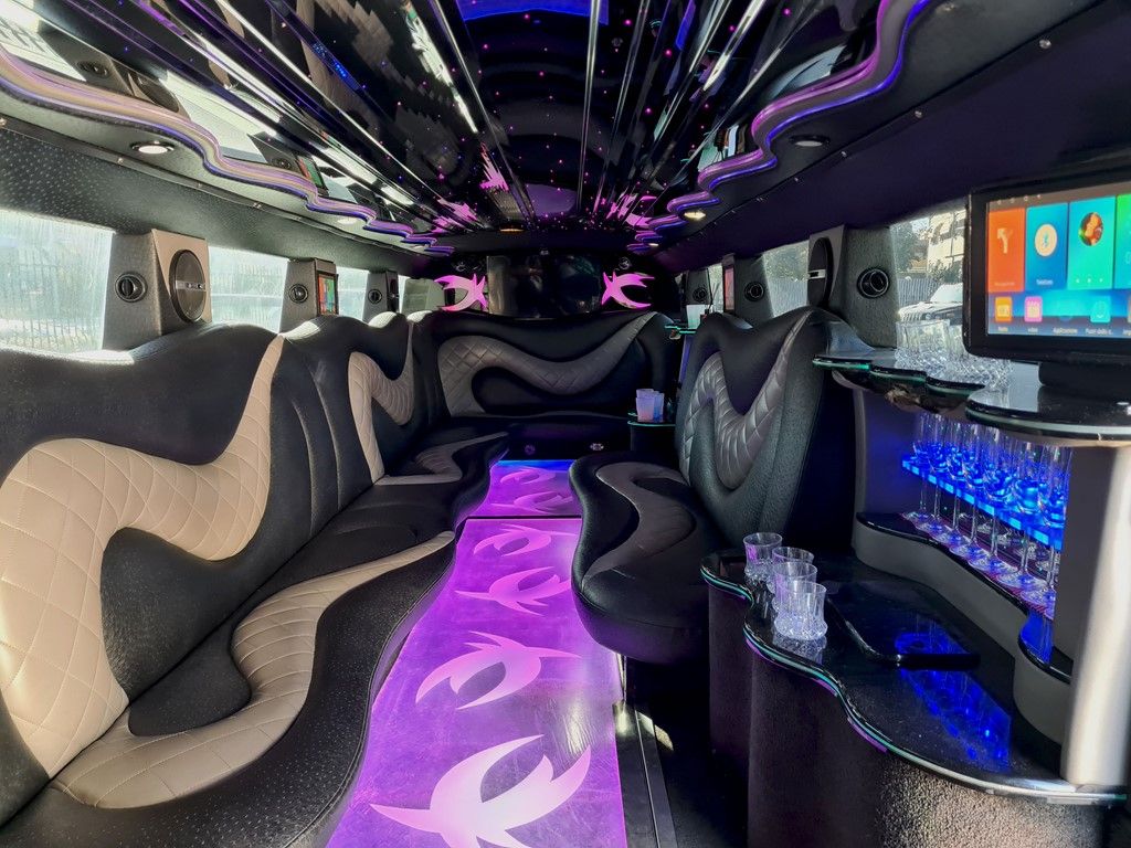 H2 Limousine 9 posti 11