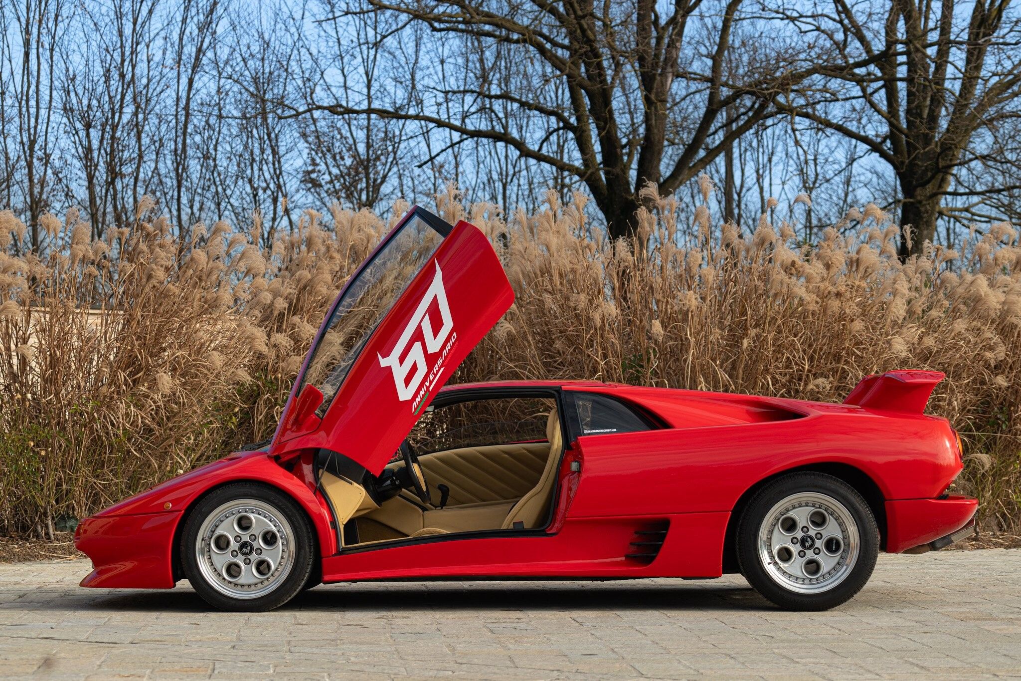 Lamborghini DIABLO VT 8