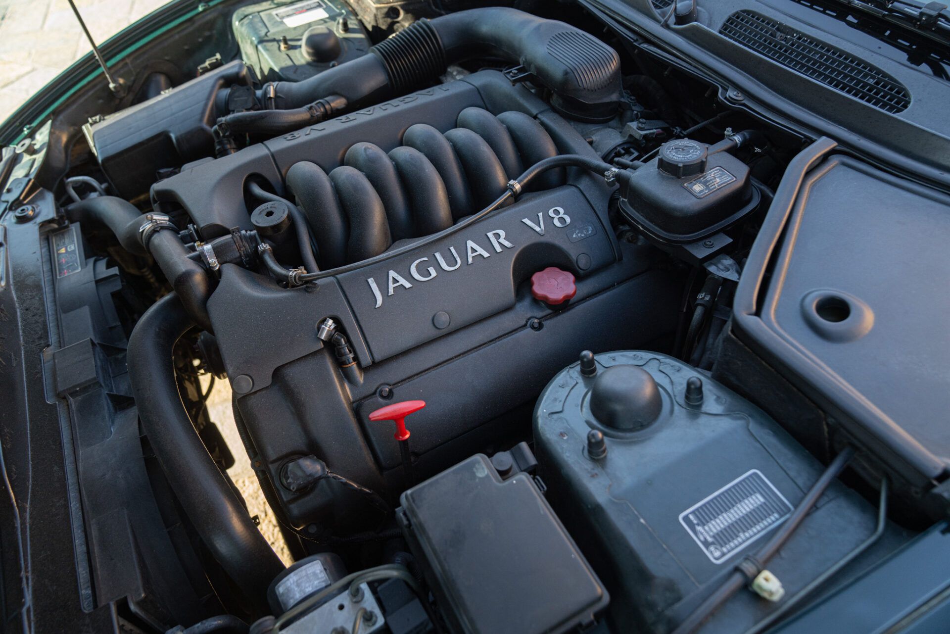 Jaguar XK8 COUPE GENTLEMEN SPEC 54