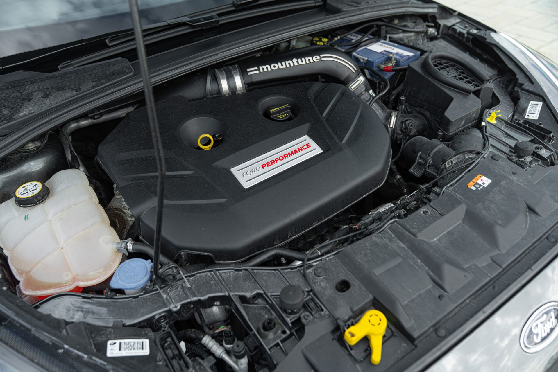 Ford FOCUS RS VR46 71