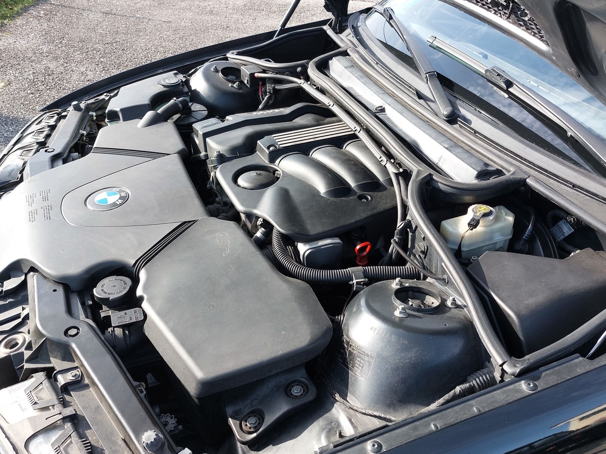 BMW 318i Cabriolet del 2001 (modello E 46) 24
