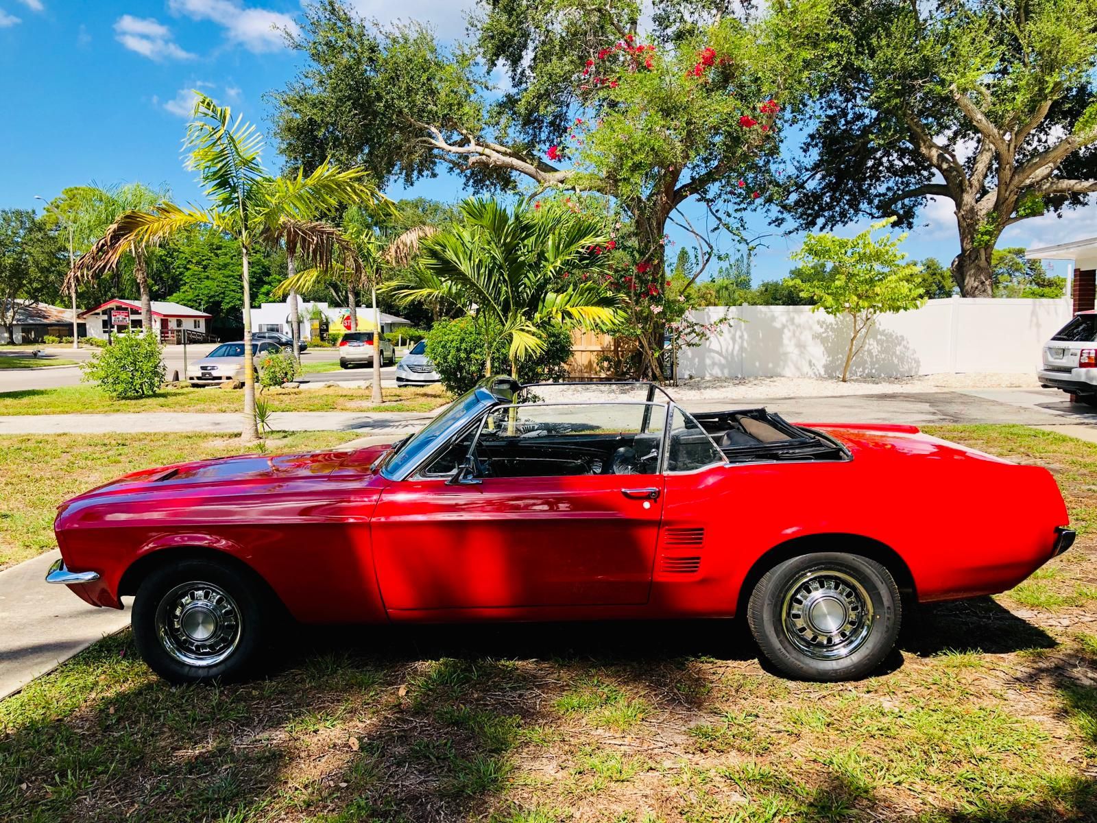 Ford Mustang Cabrio anno 1967 6