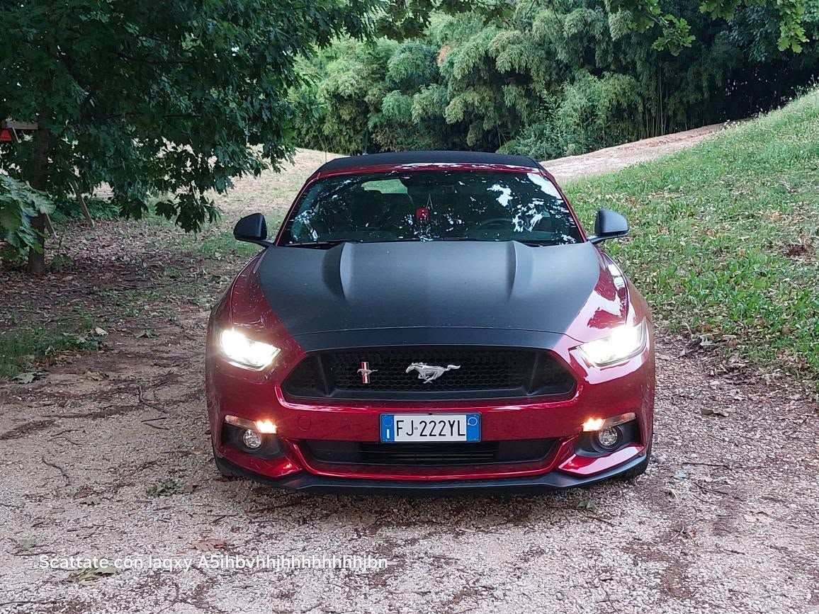 Ford Mustang Convertibile del 2017 11