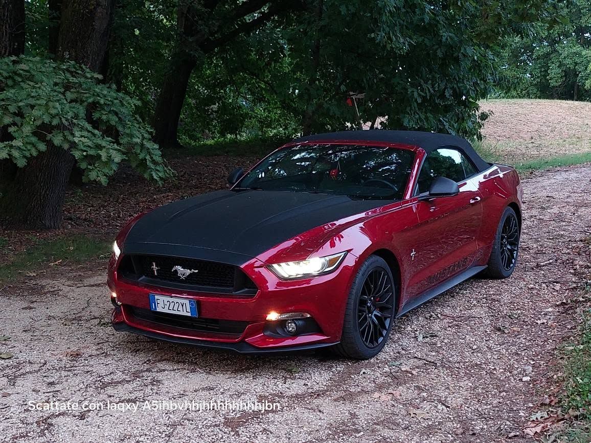 Ford Mustang Convertibile del 2017 12