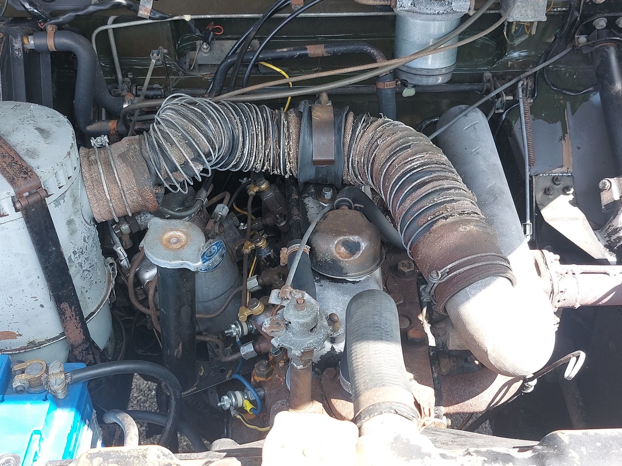 88 del 1971 16