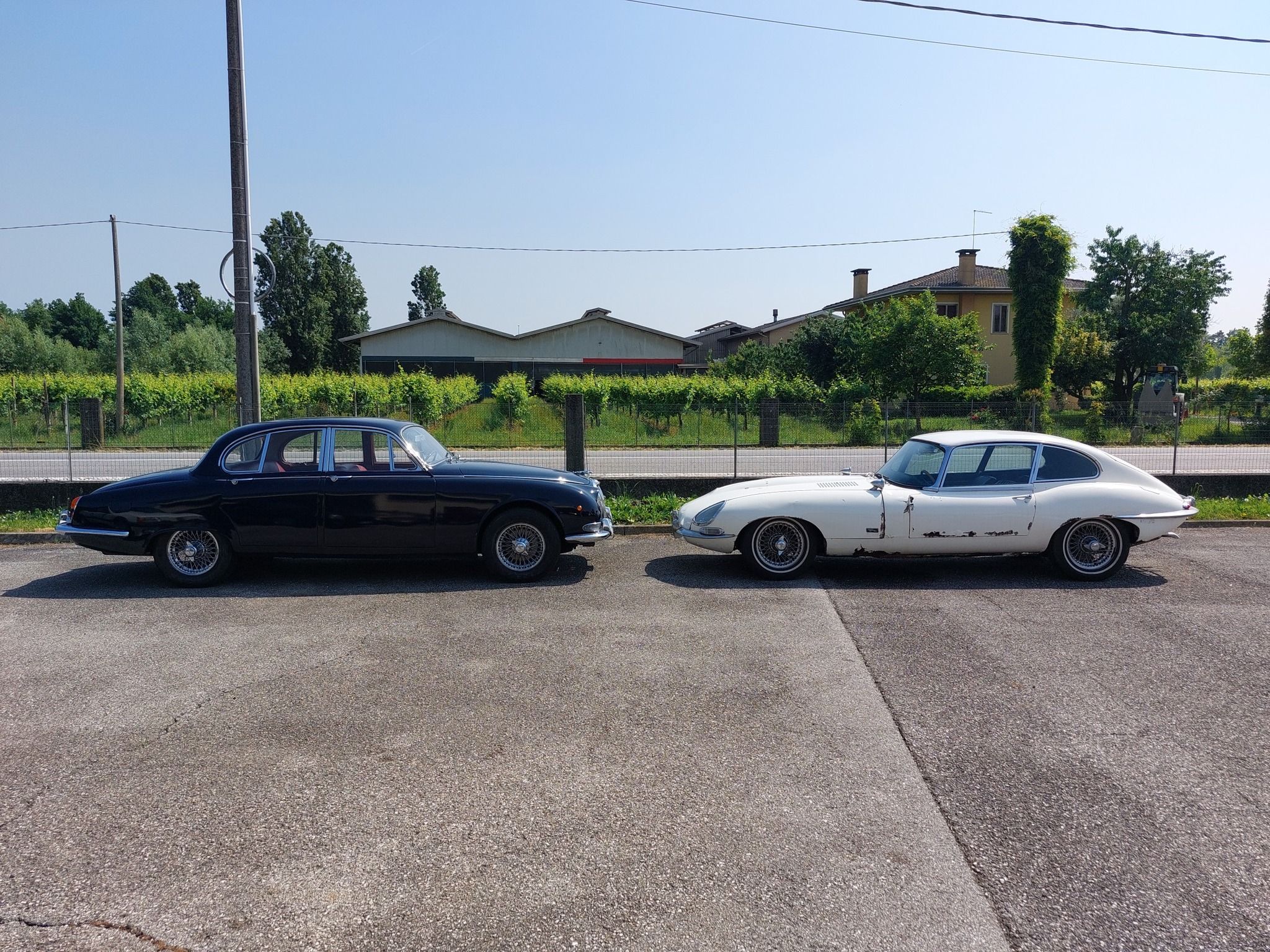 Jaguar 3.8 S del 1966 13