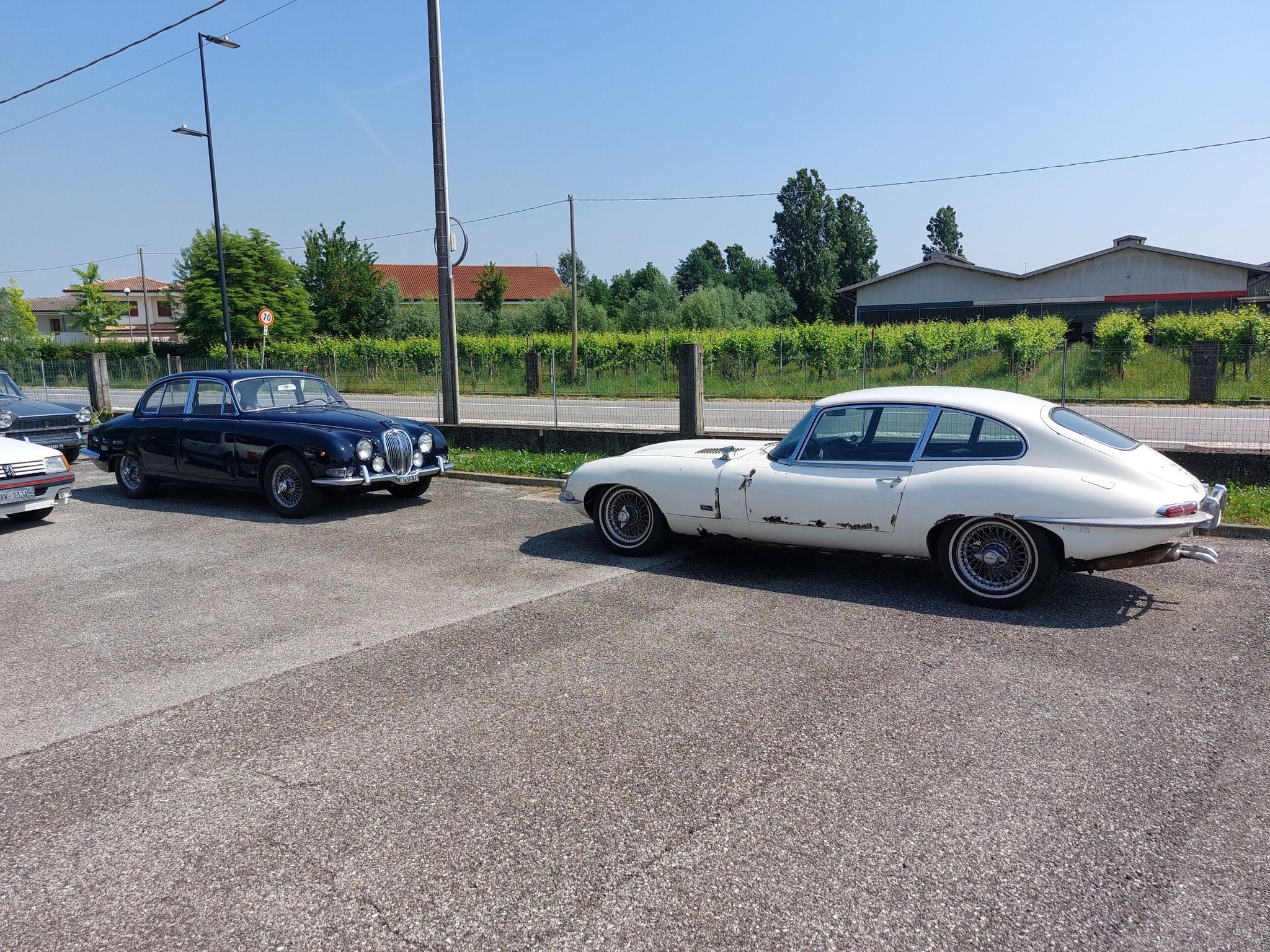 Jaguar 3.8 S del 1966 14