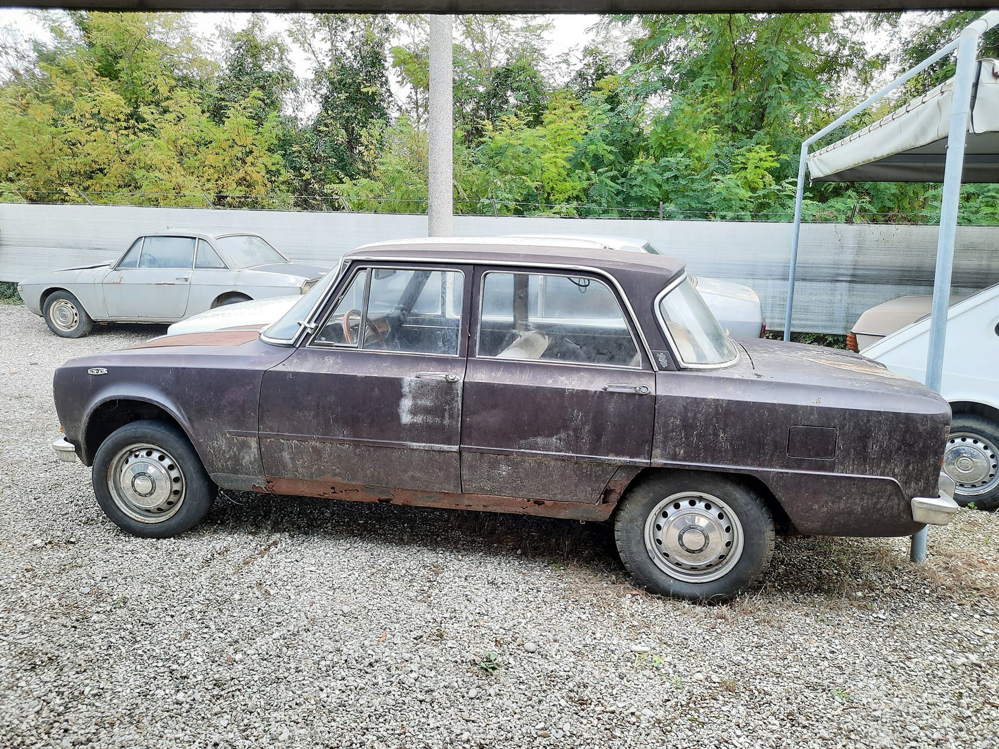 Alfa Romeo Giulia 1600 Biscione del 1969 3