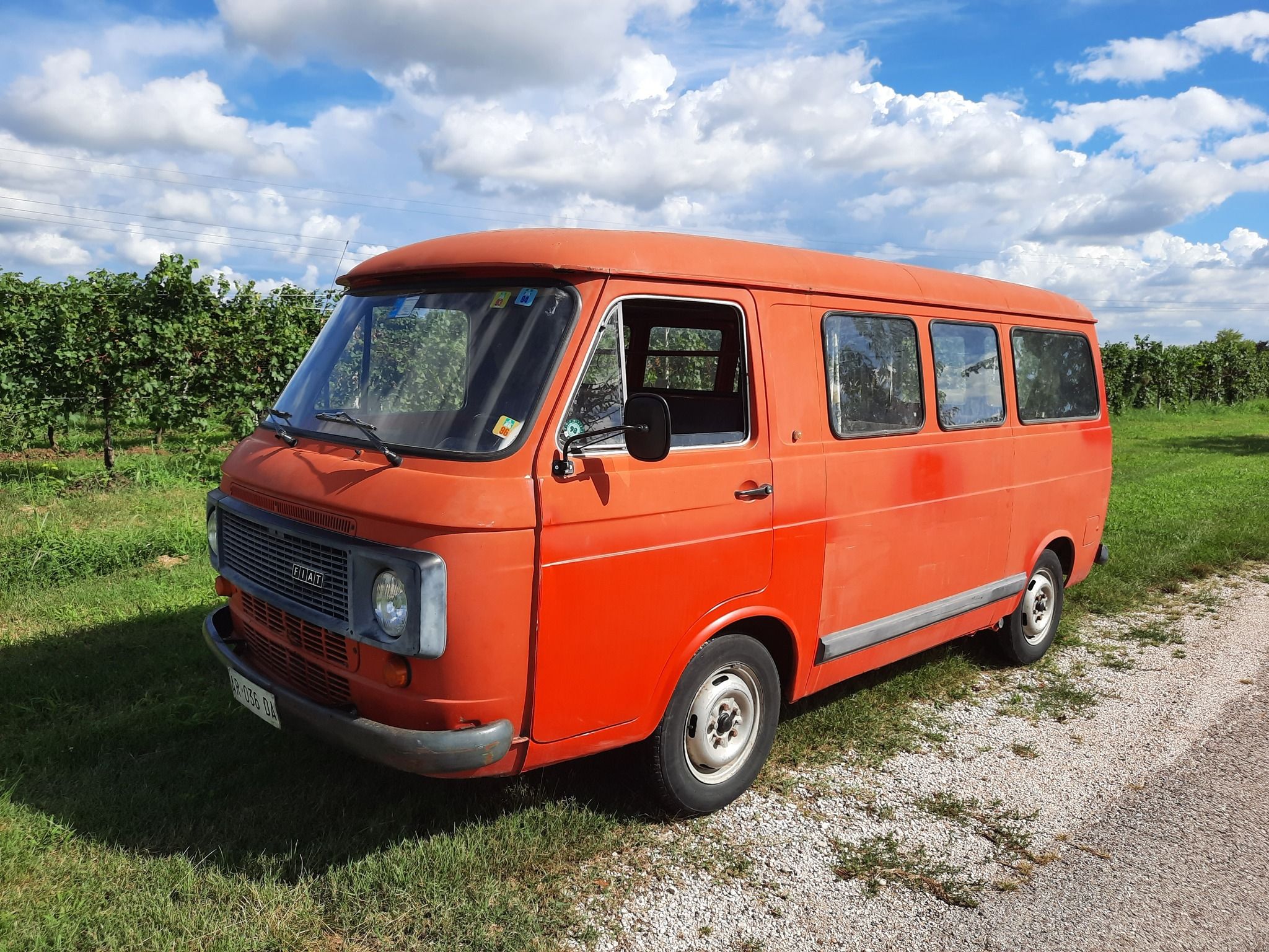 Fiat 238 Pulmino 9 posti del 1980 3