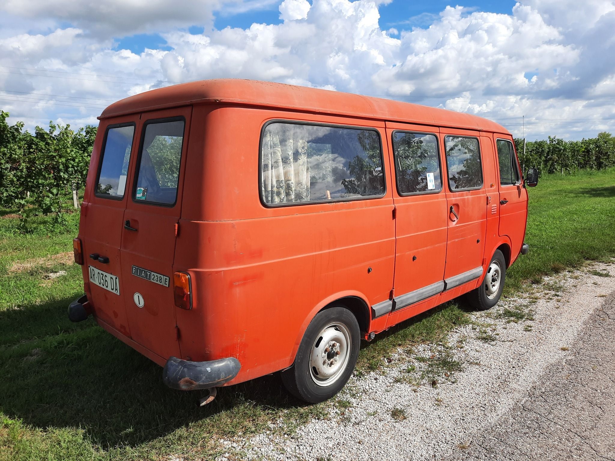 Fiat 238 Pulmino 9 posti del 1980 12