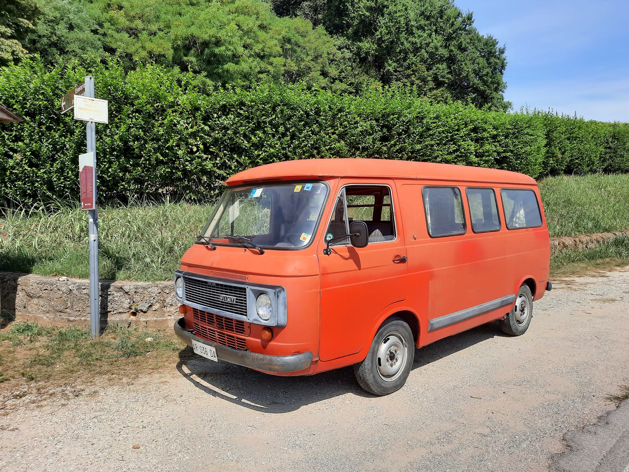Fiat 238 Pulmino 9 posti del 1980 17