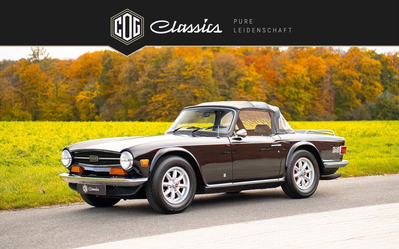 Triumph TR6 3