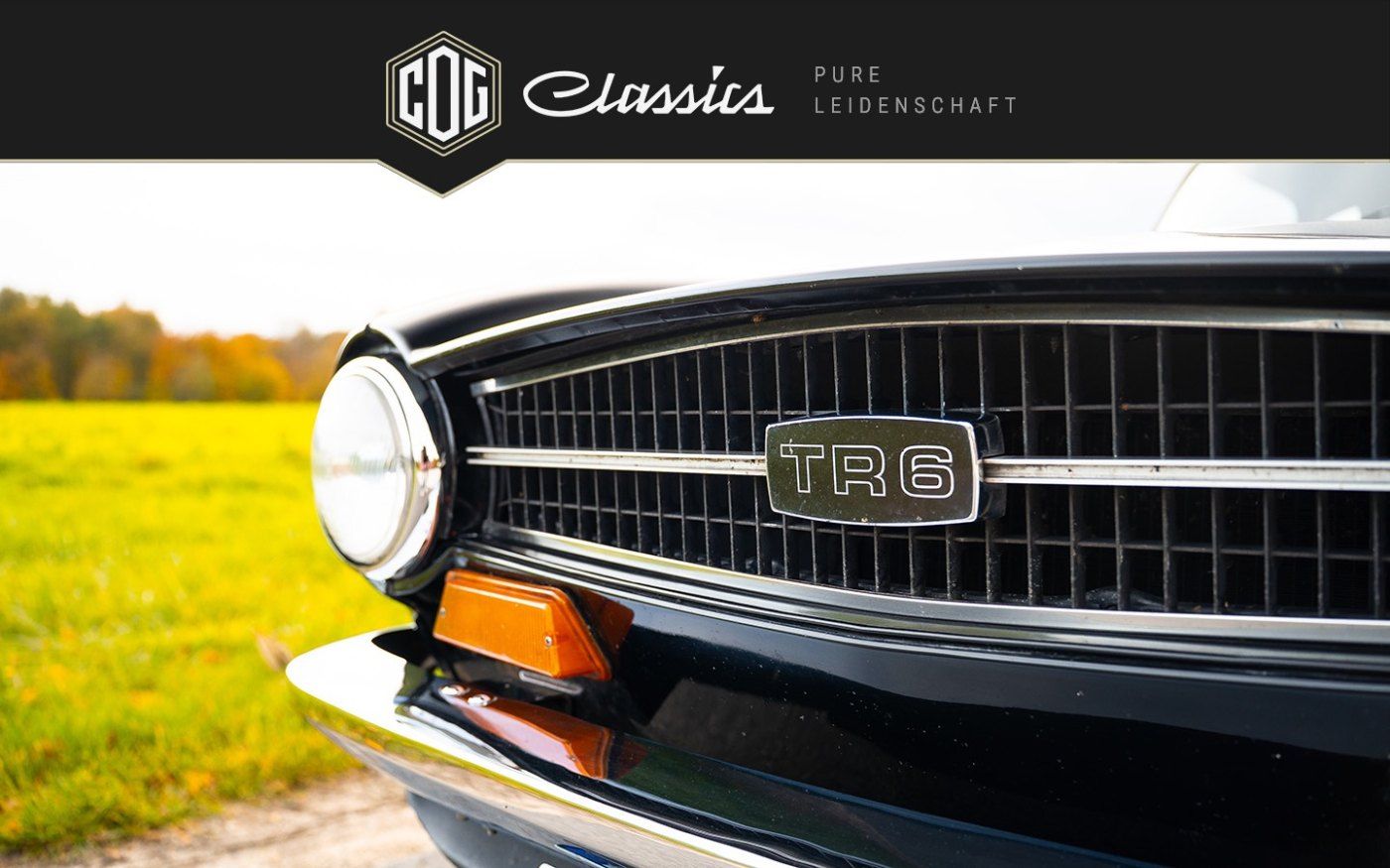 Triumph TR6 10
