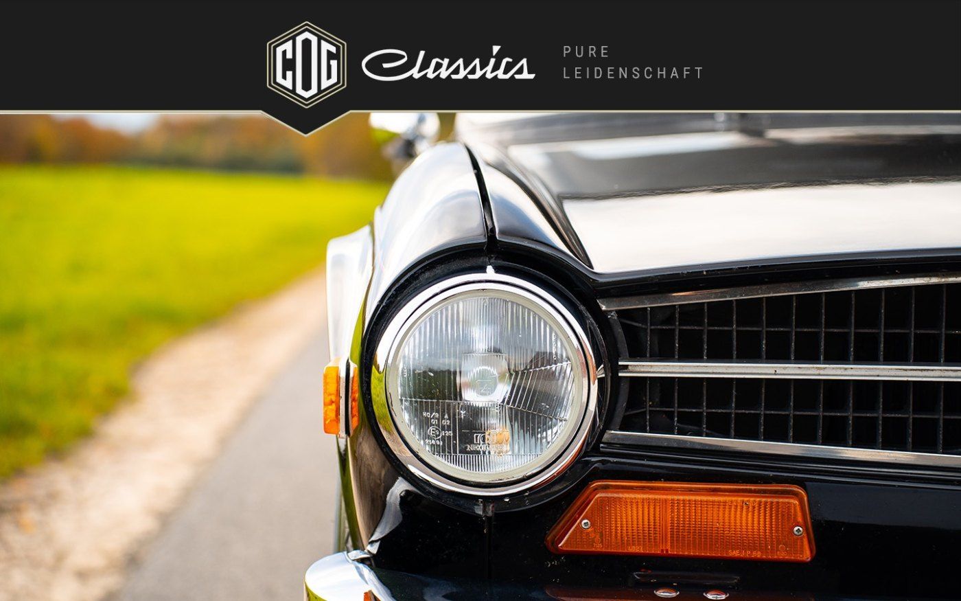 Triumph TR6 11