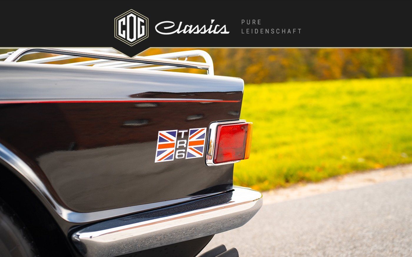Triumph TR6 14