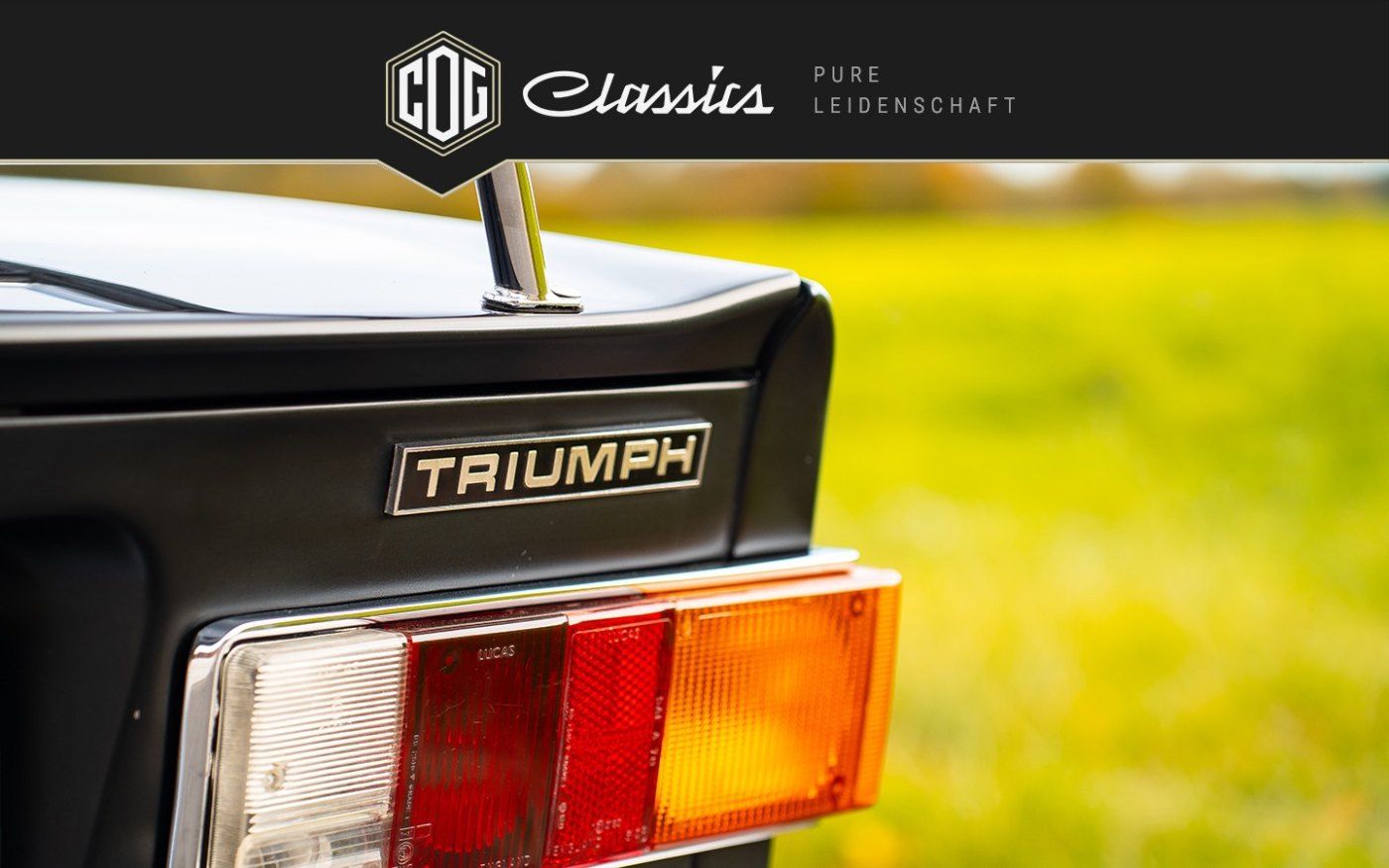 Triumph TR6 16