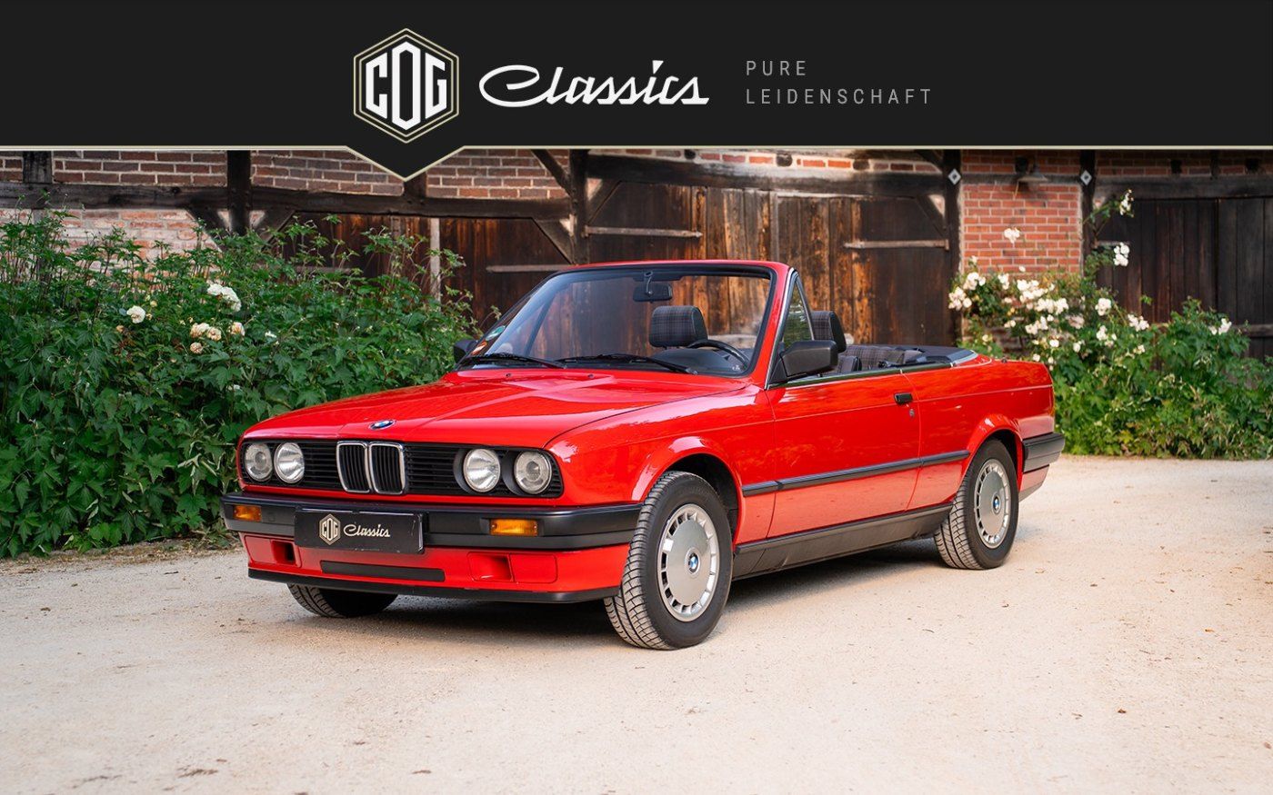 BMW 318 Cabrio 5
