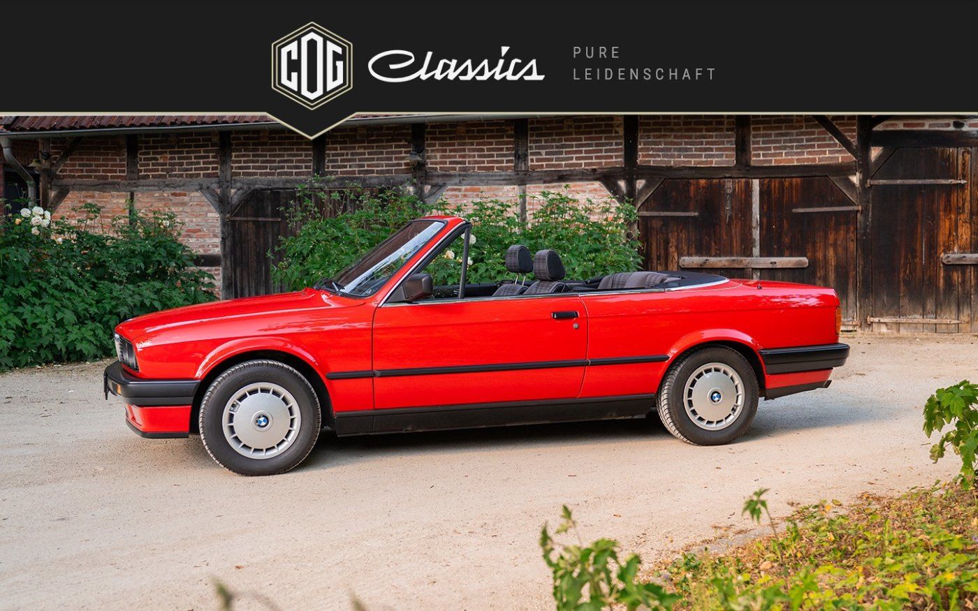 BMW 318 Cabrio 6