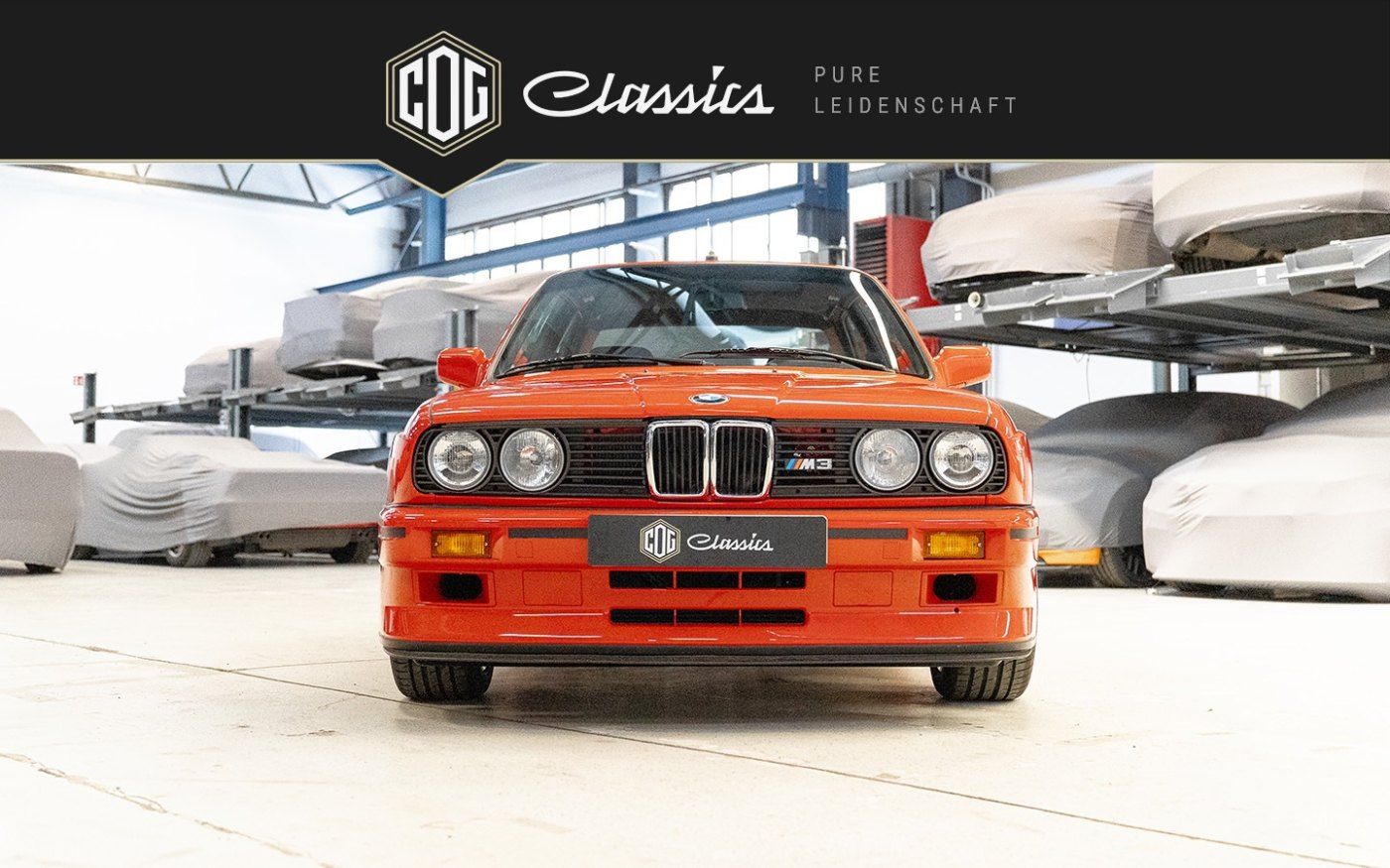 BMW M3 E30 Sport Evolution 9