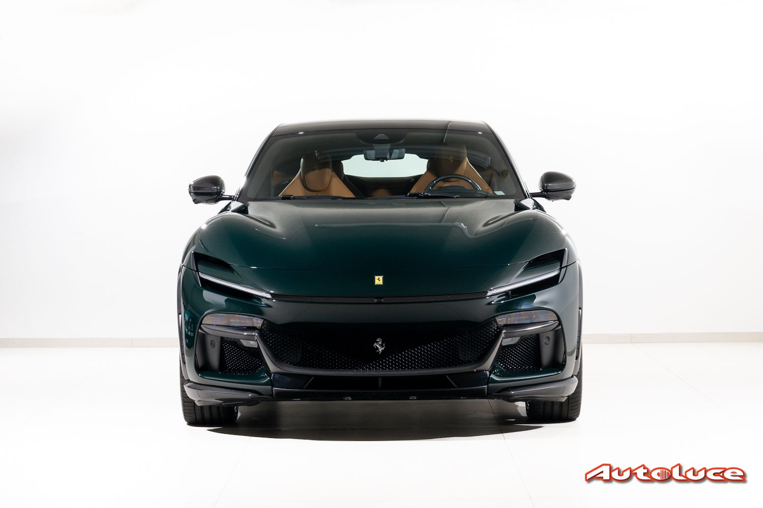 Ferrari PUROSANGUE 17