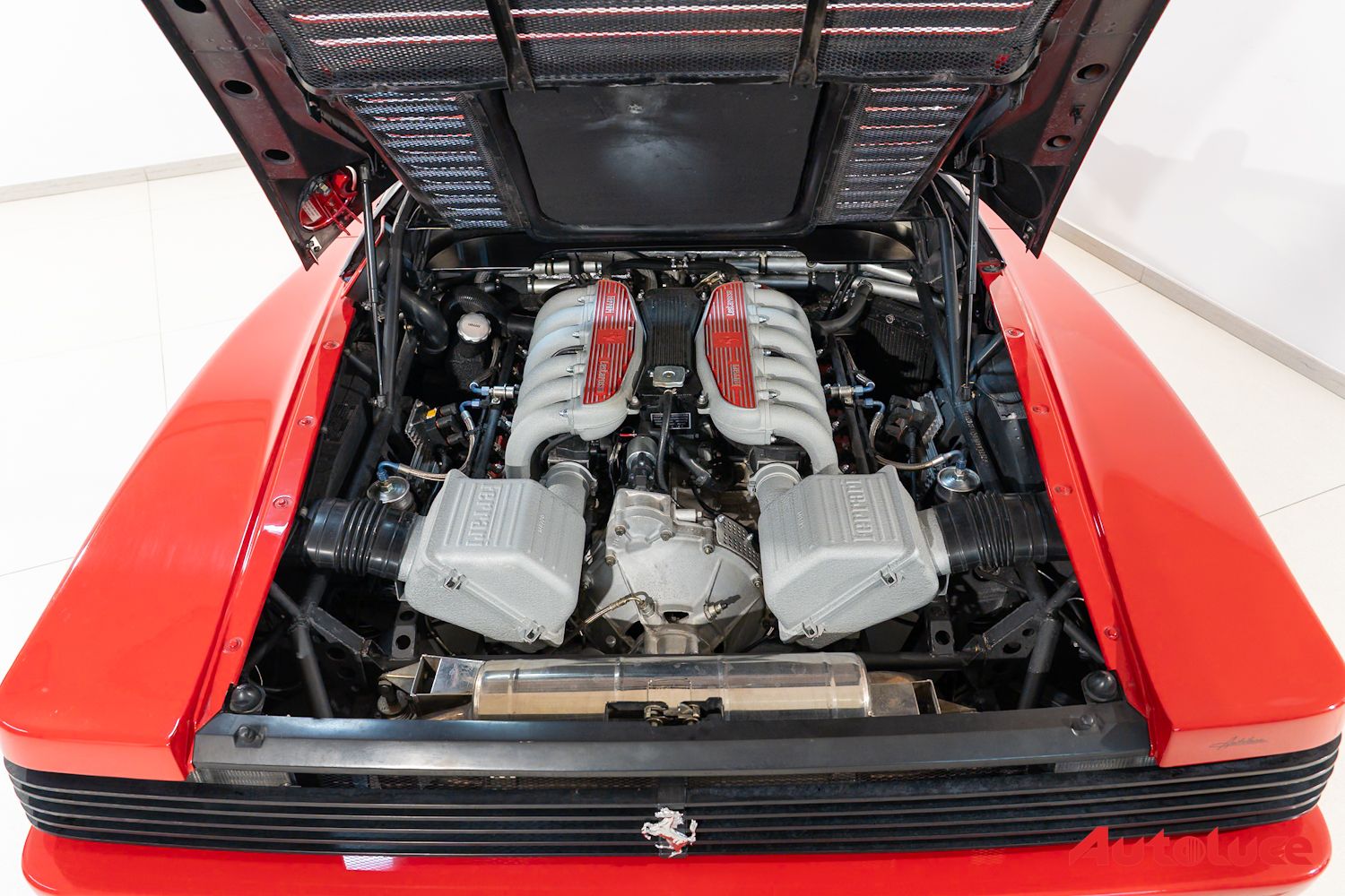 Ferrari 512 TR 29