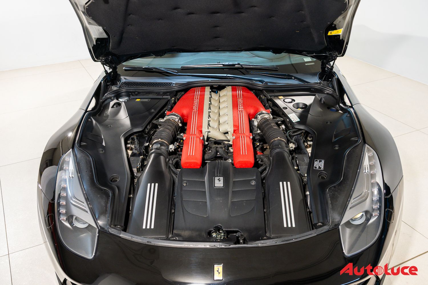 Ferrari F12 BERLINETTA 38