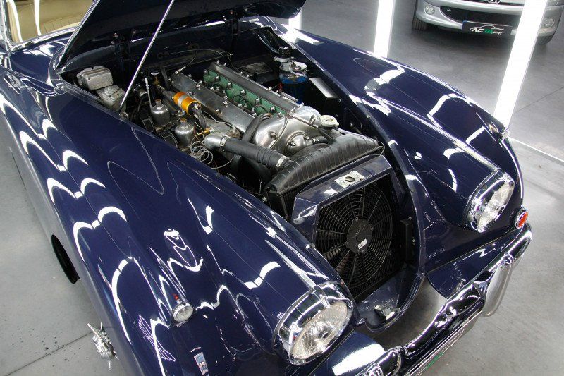 Jaguar XK 11