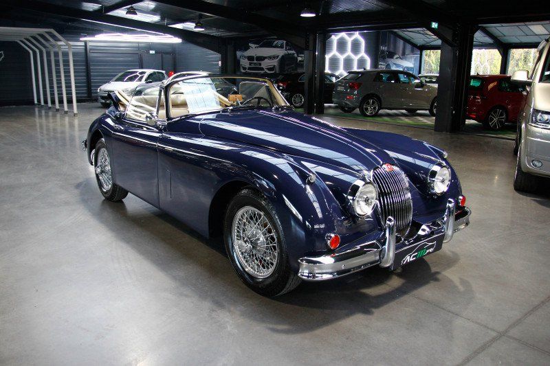 Jaguar XK 14