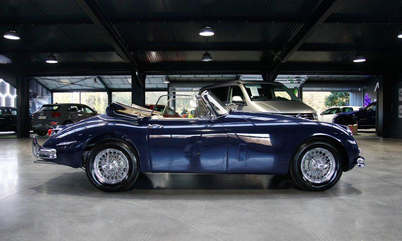Jaguar XK 15