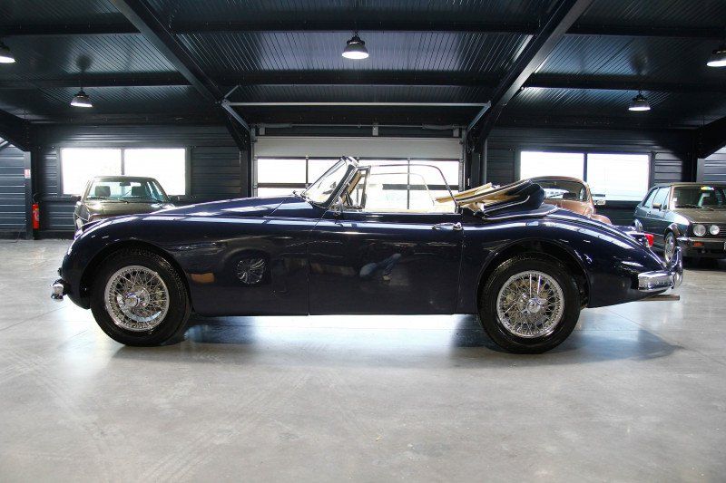 Jaguar XK 19