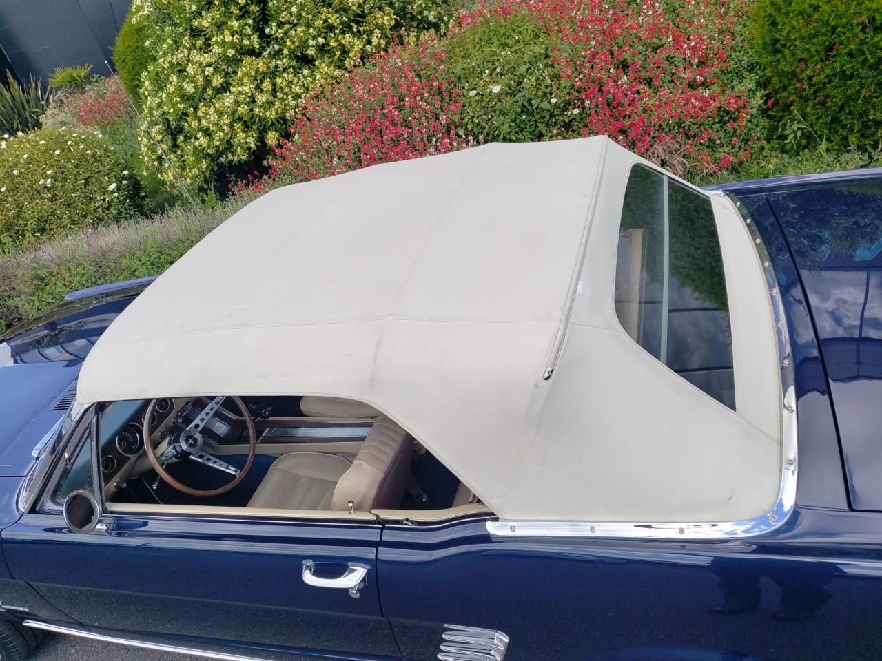 Ford MUSTANG cabriolet 289 boite manuelle 4, int Pony 20
