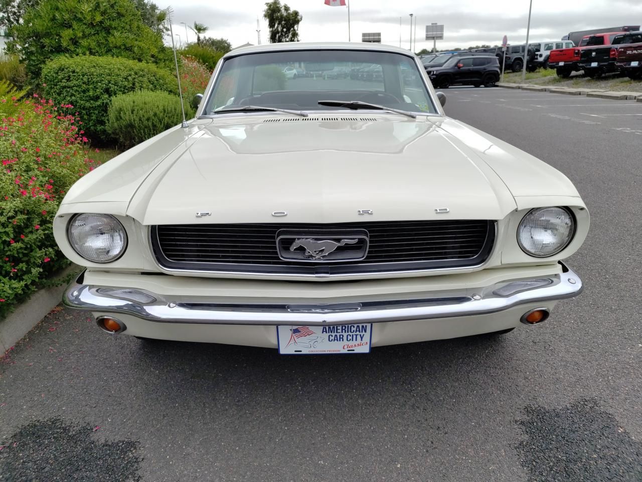 Ford MUSTANG V8 4.7 Litres, boite méca 4 2