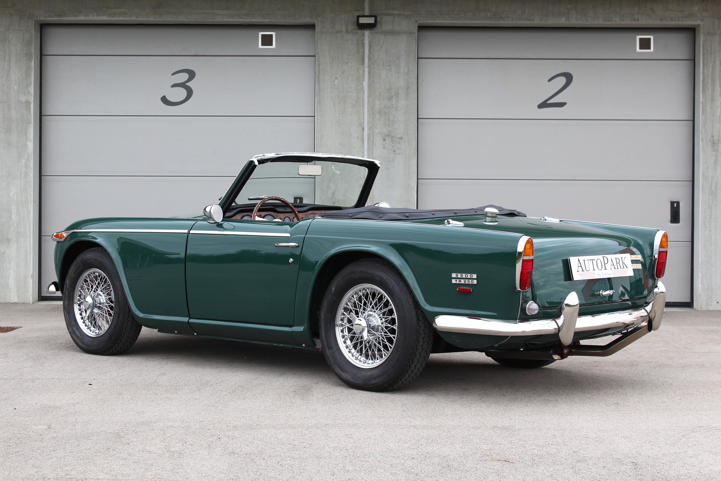 Triumph TR250 2