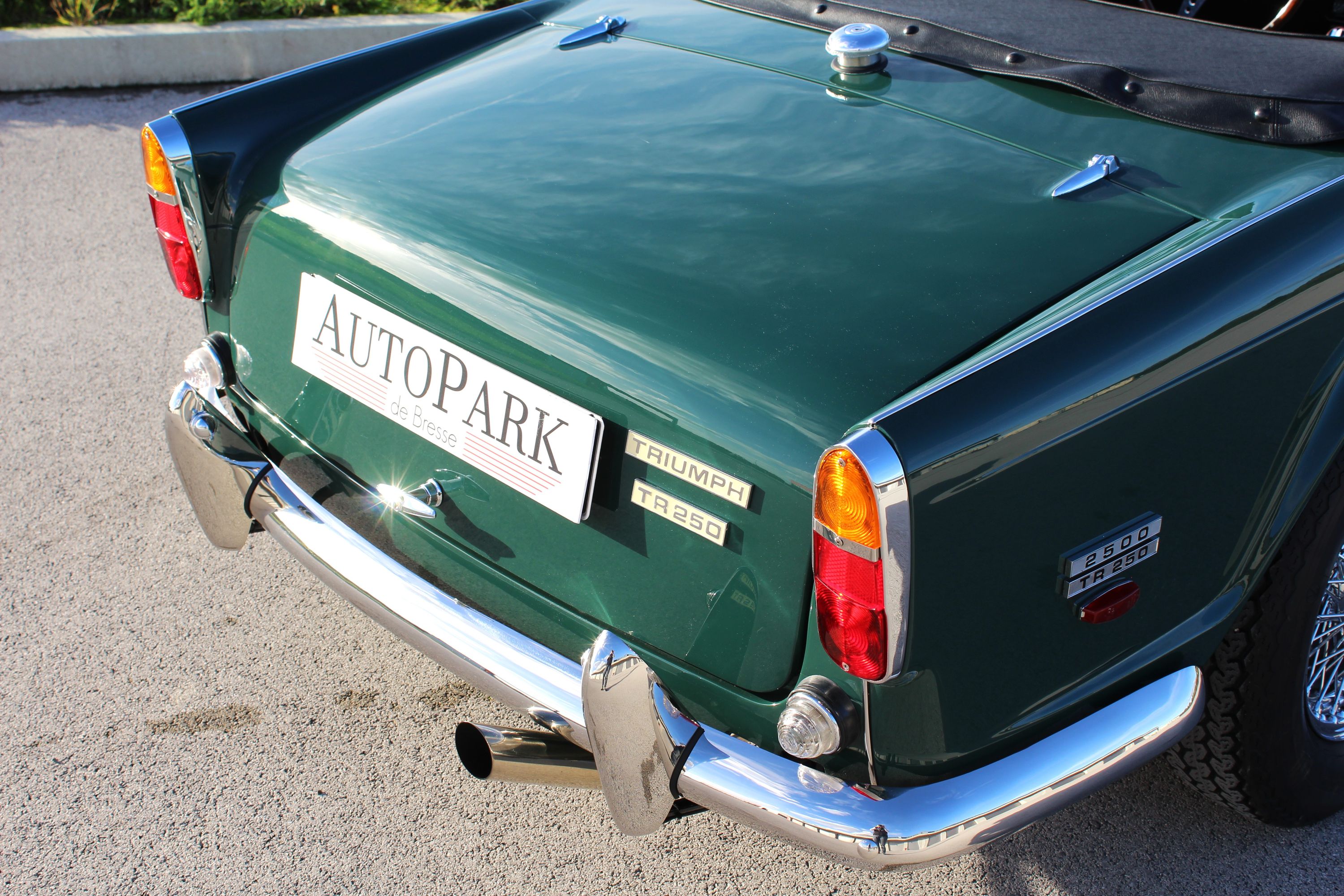 Triumph TR250 9