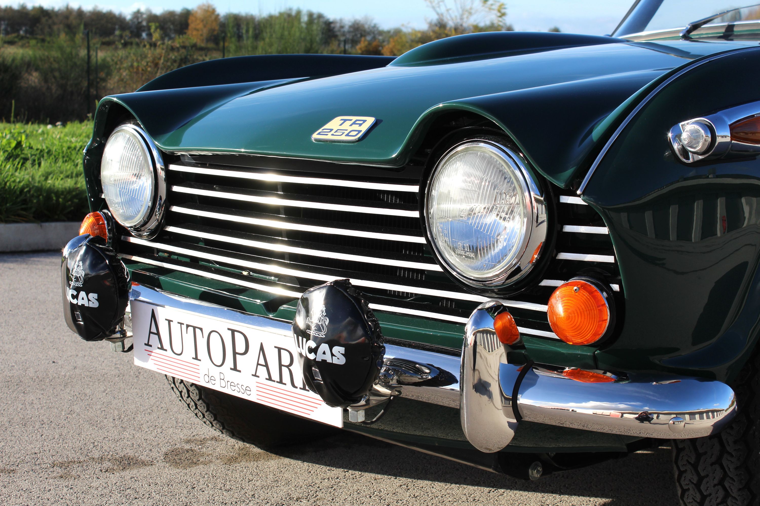 Triumph TR250 10