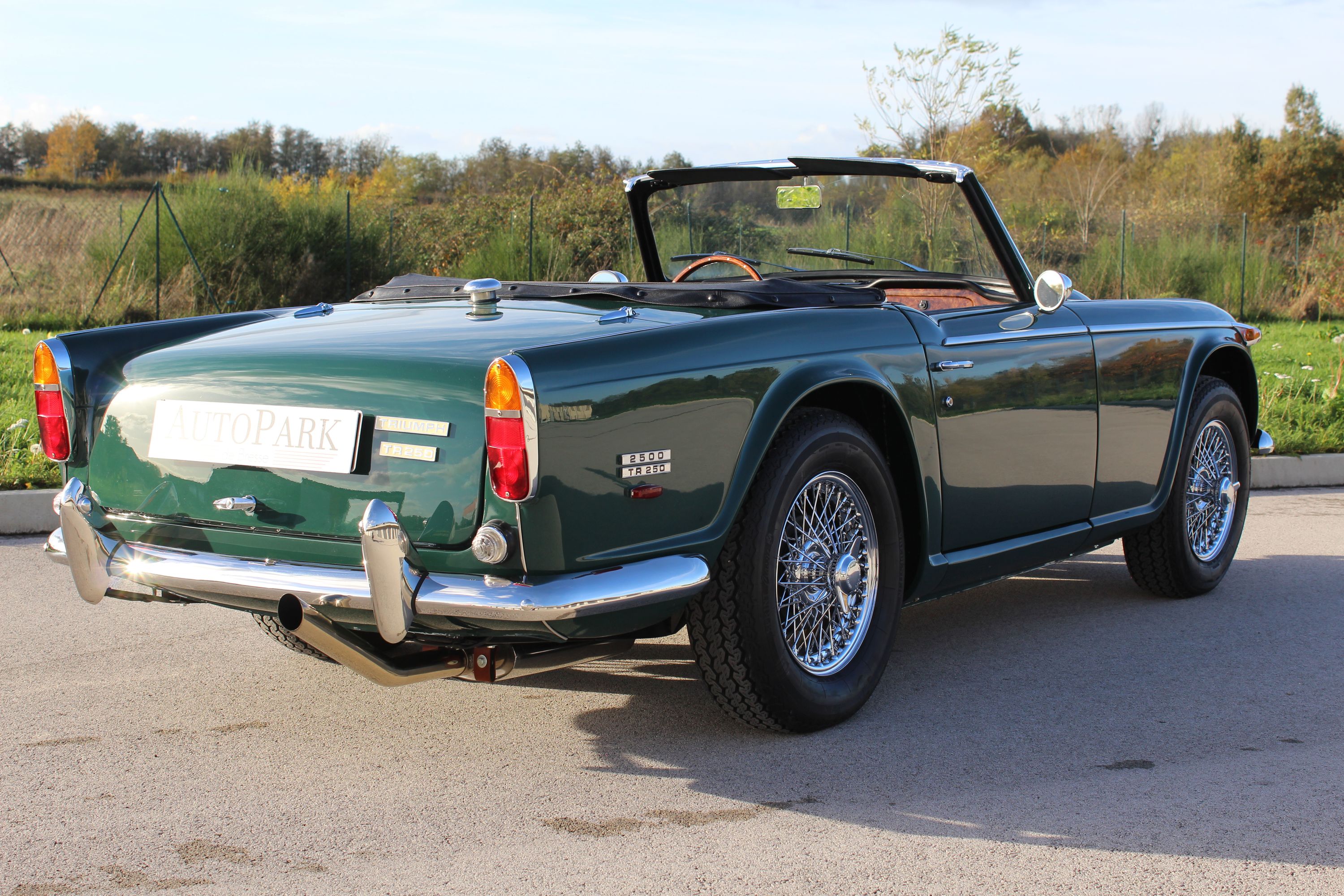 Triumph TR250 13