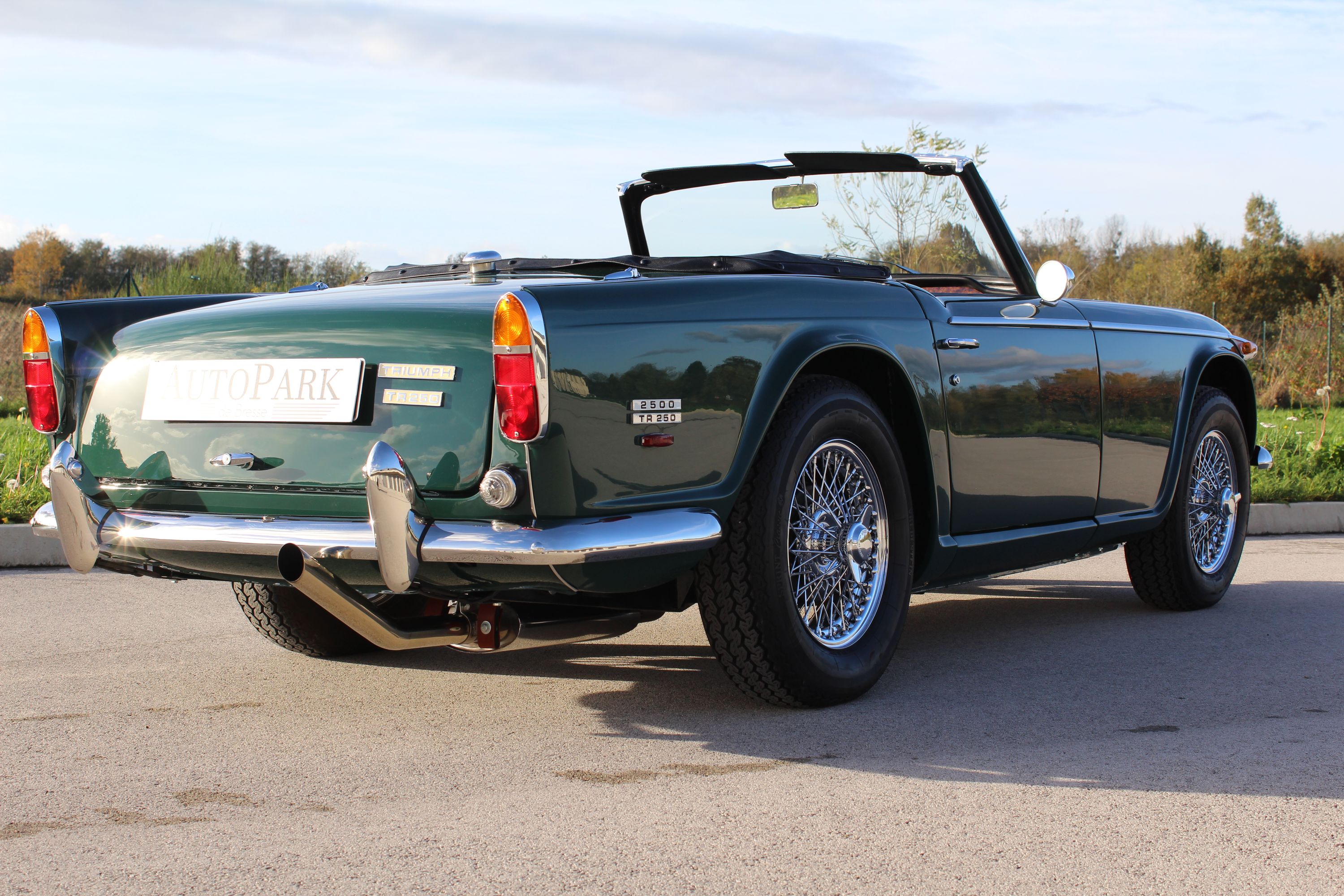 Triumph TR250 14