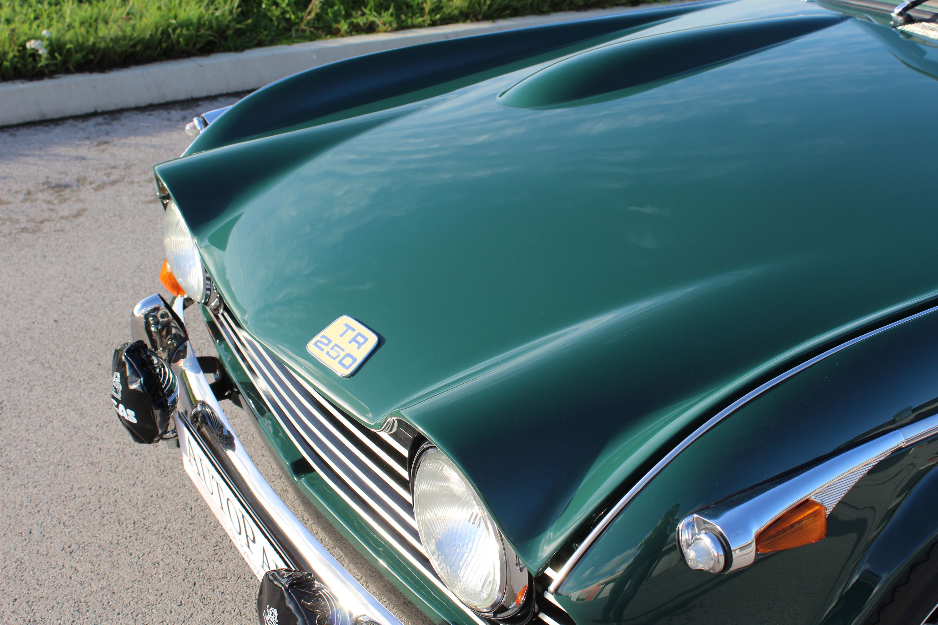 Triumph TR250 15