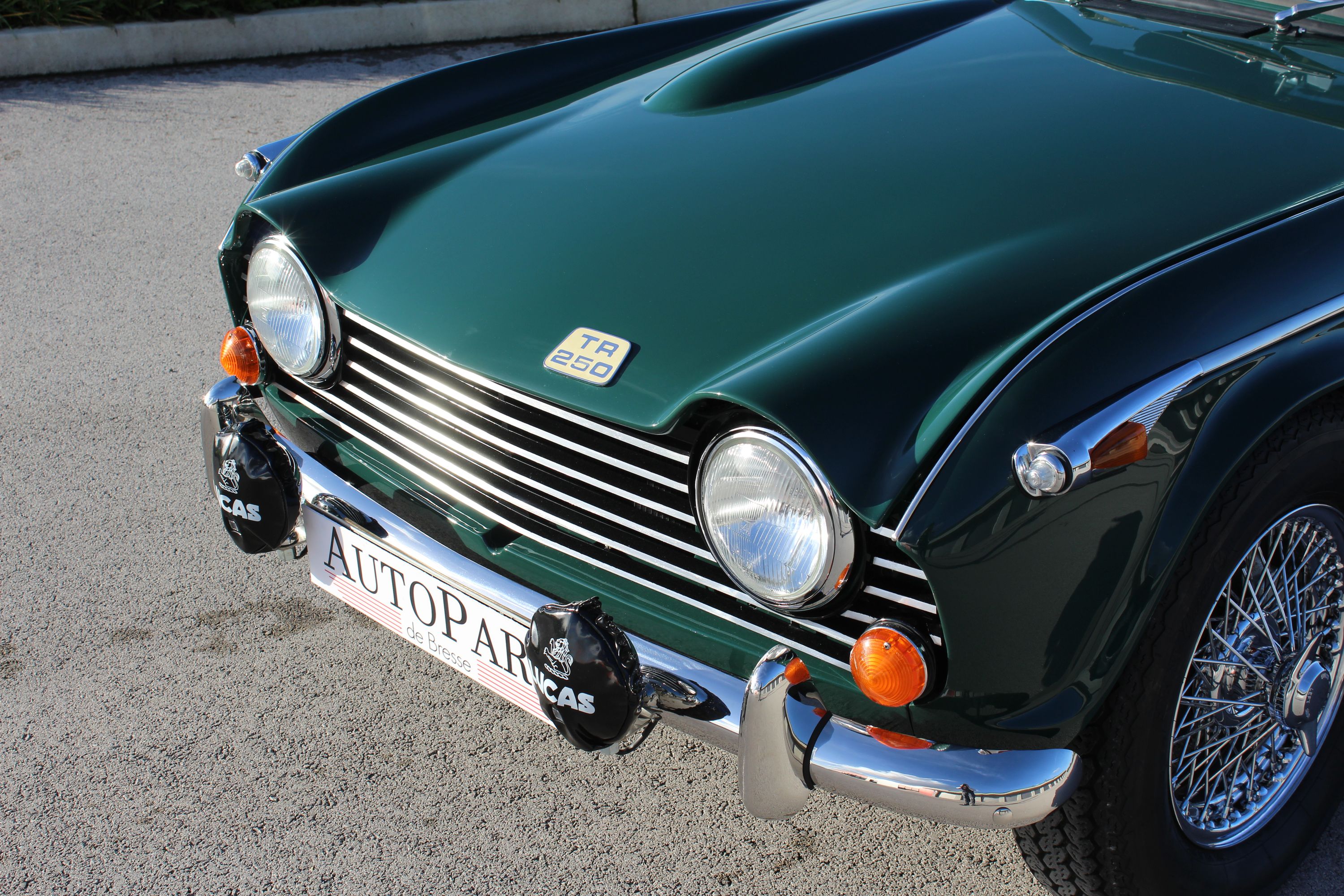 Triumph TR250 16