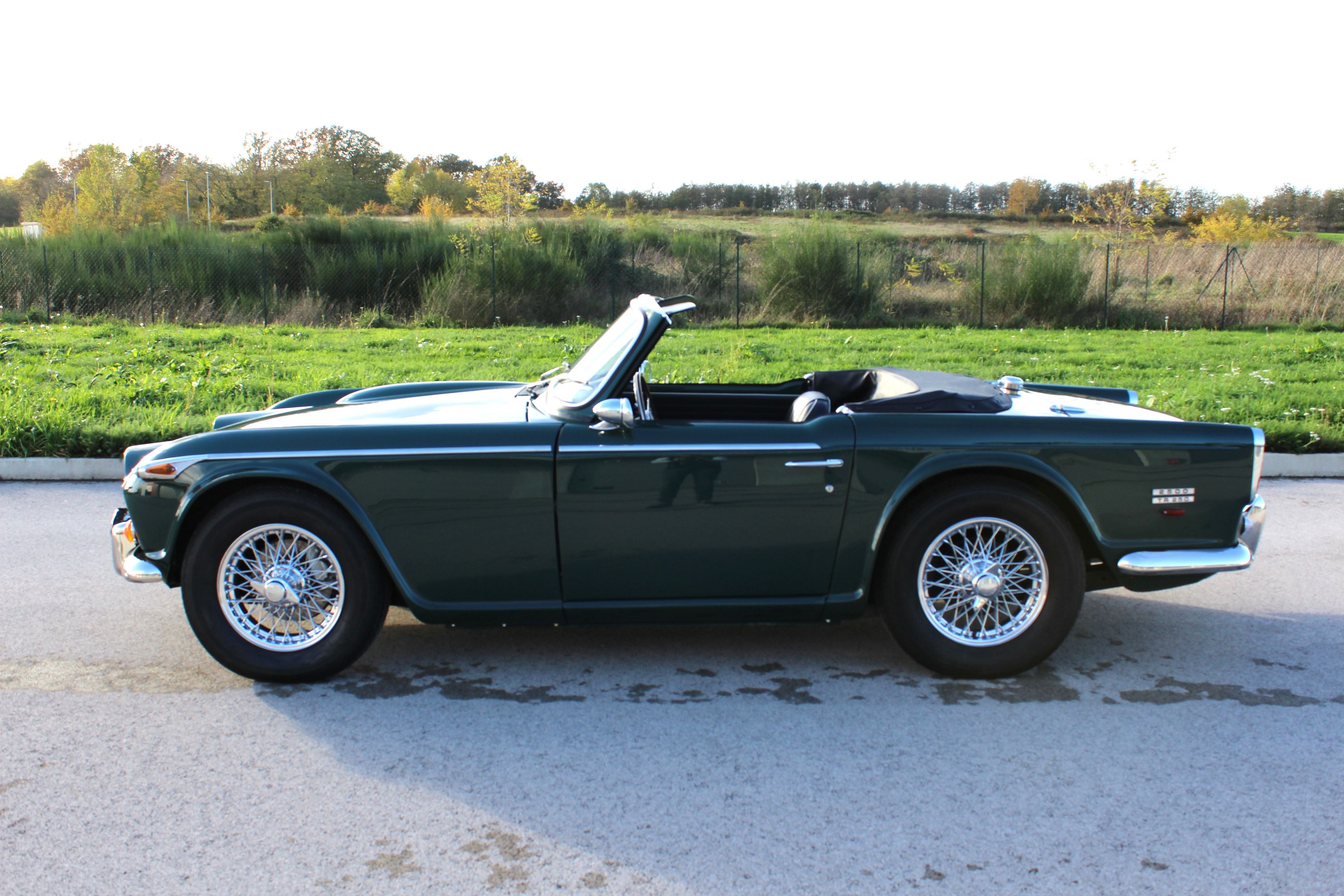 Triumph TR250 21