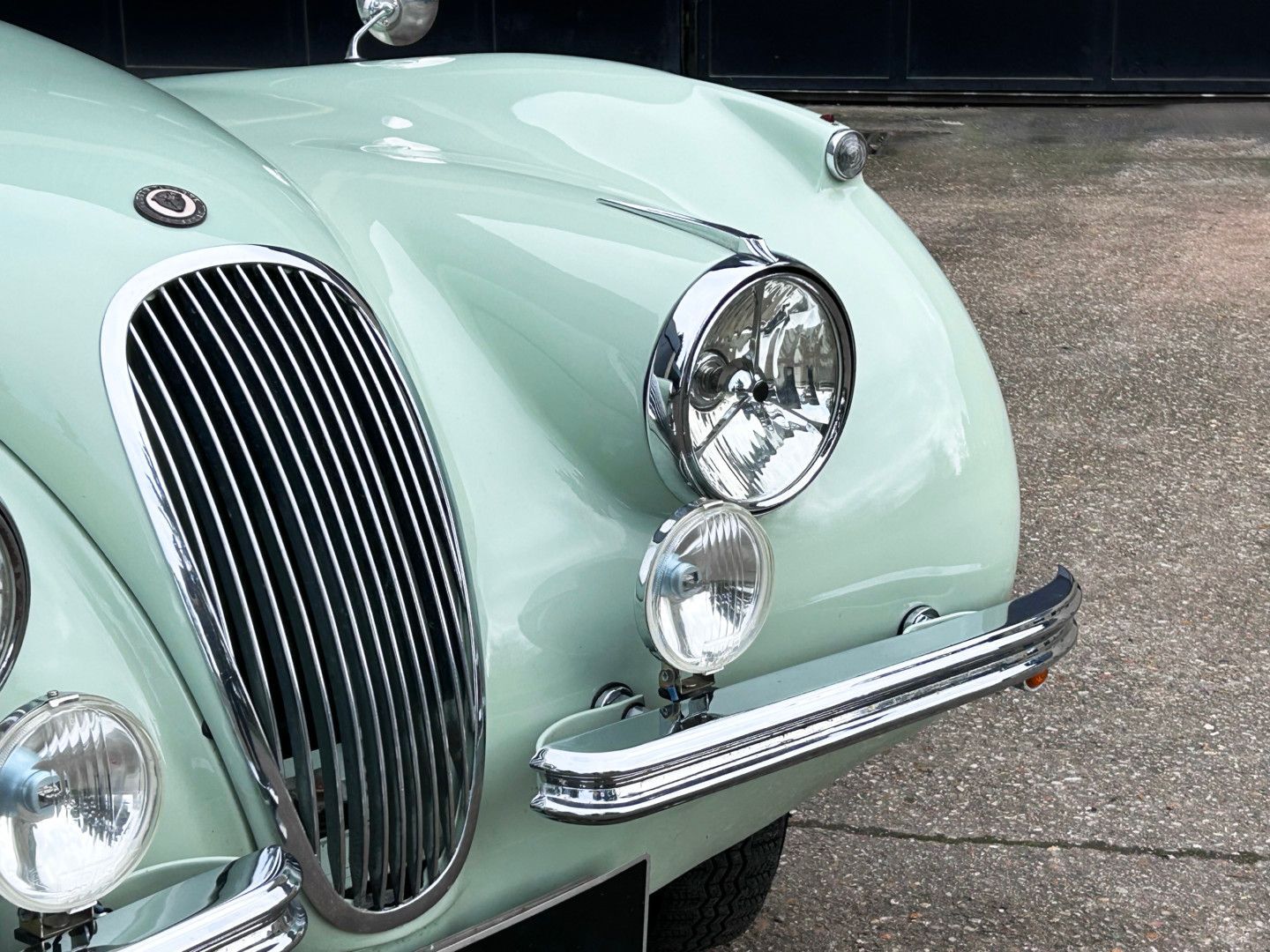 Jaguar XK120 Cab. 14