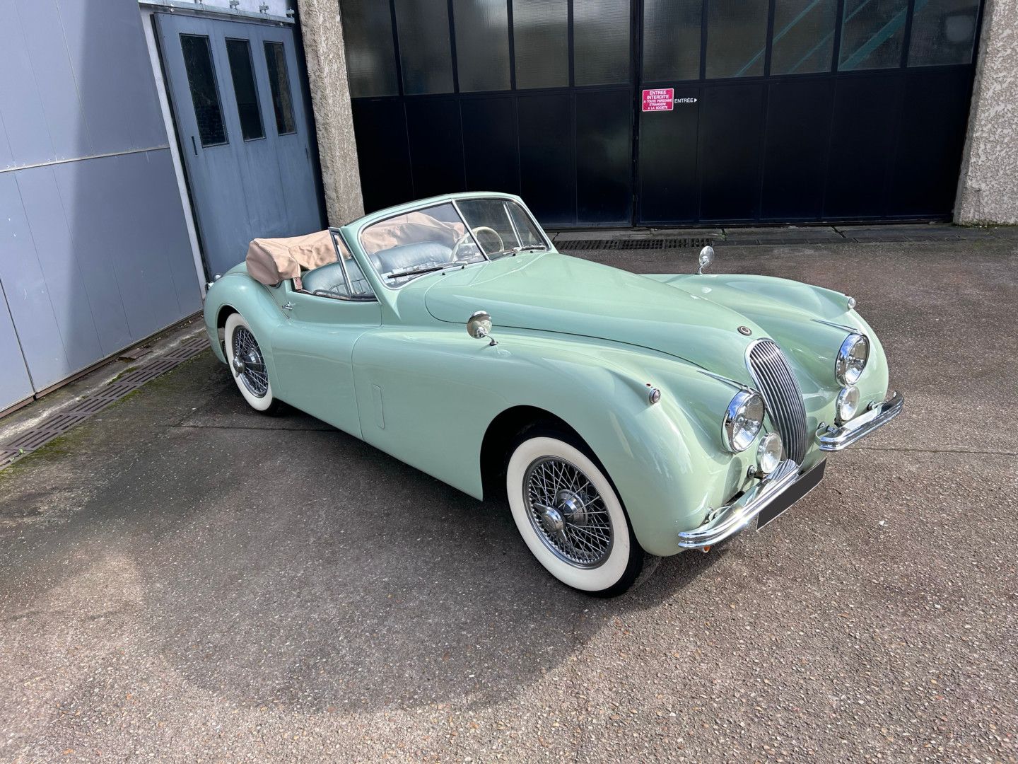 Jaguar XK120 Cab. 19