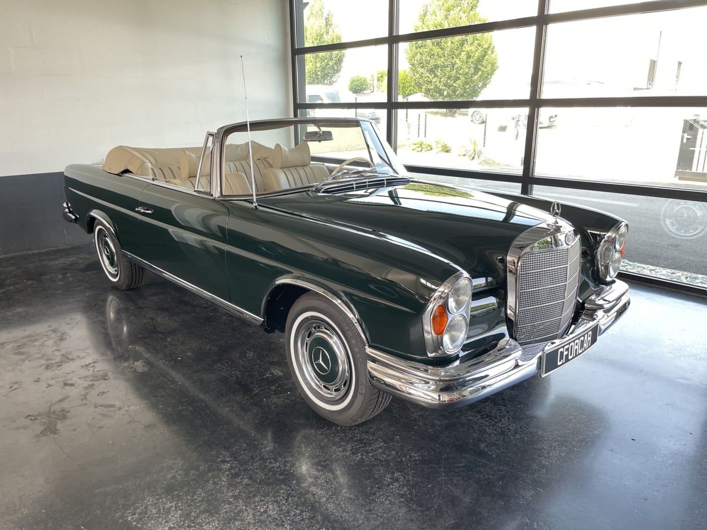 250SE Cabriolet Concours 6