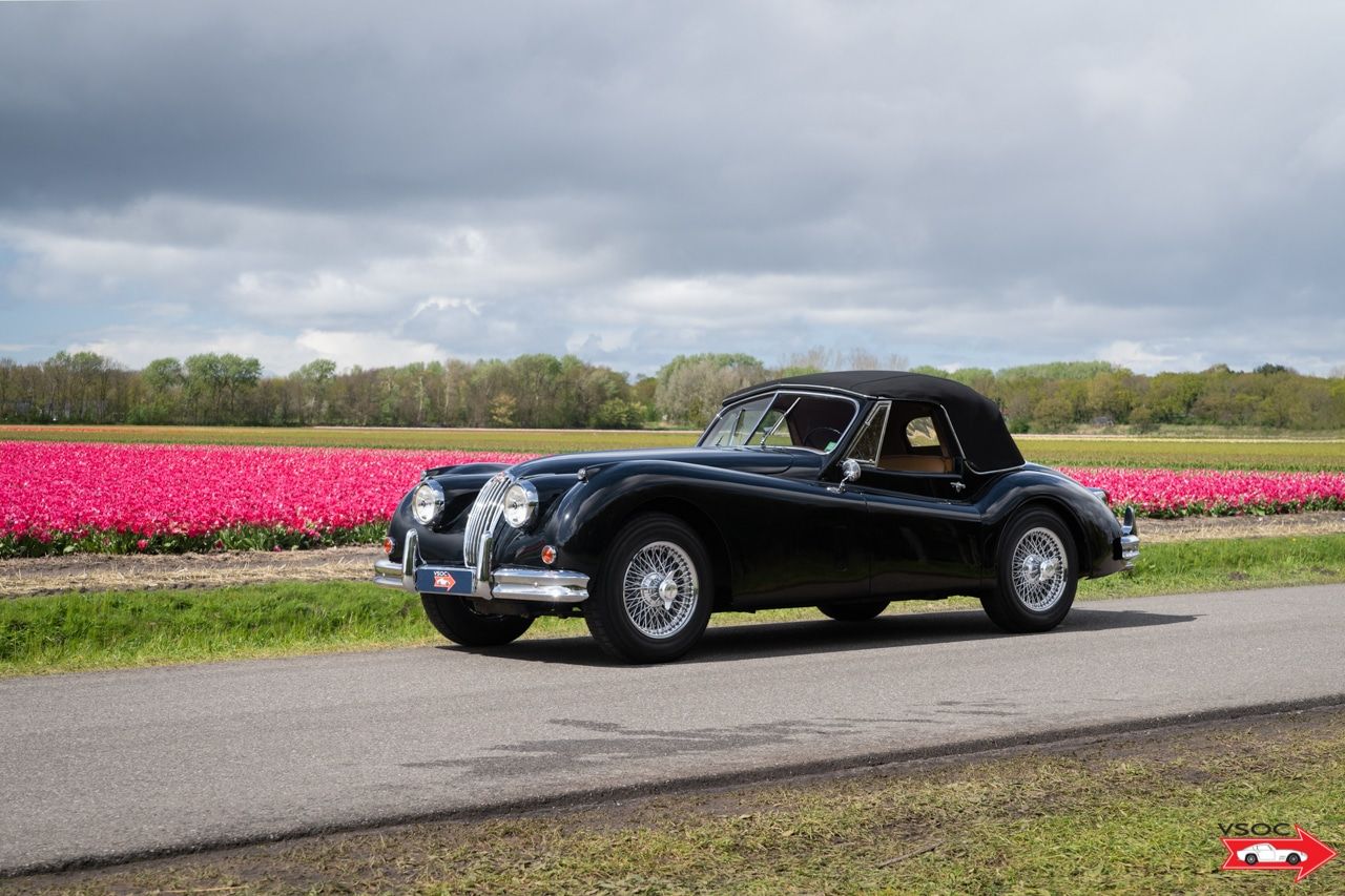 Jaguar XK140 Drophead Coupe black-tan 4