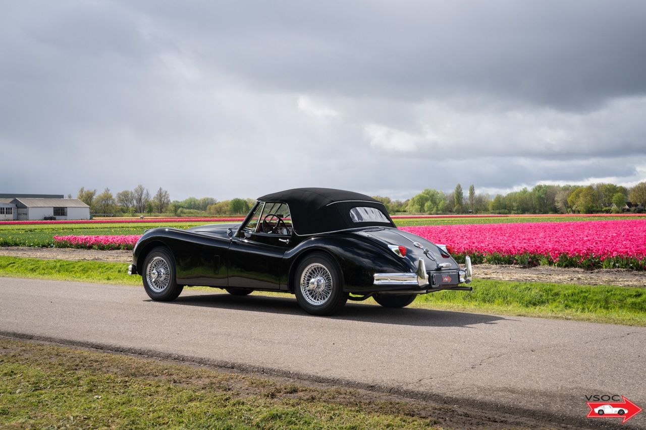 Jaguar XK140 Drophead Coupe black-tan 5