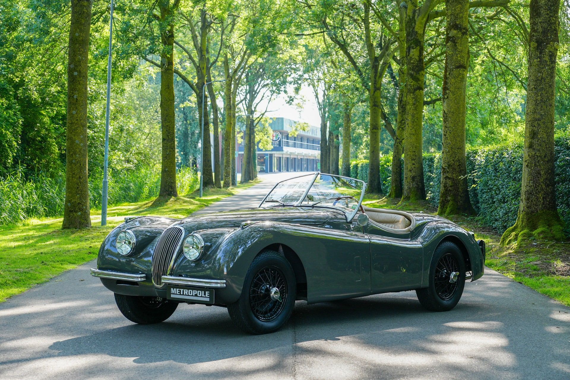 Jaguar XK120 OTS 3