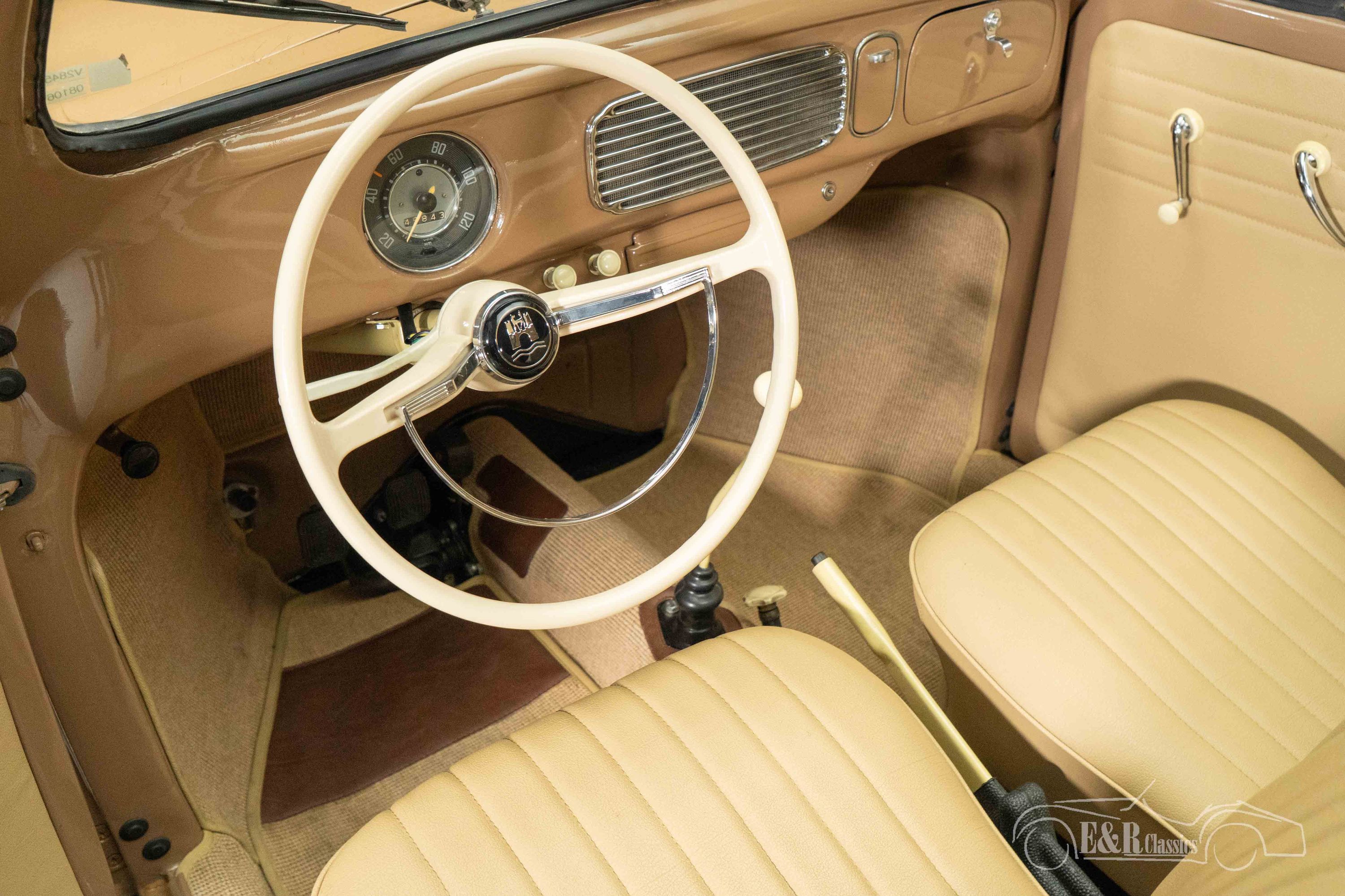 Volkswagen Beetle Oval Ragtop 3
