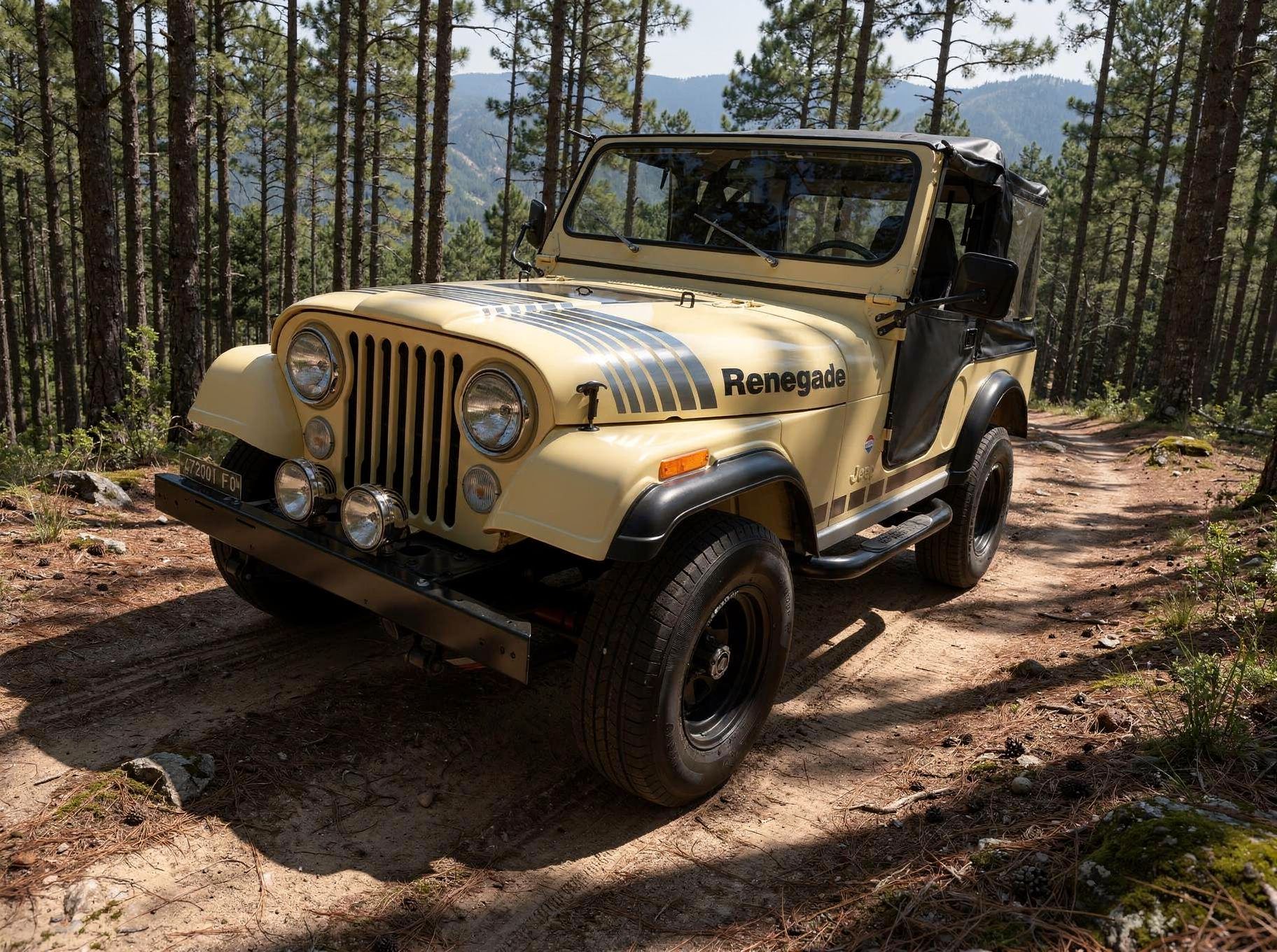 1981 Jeep Renegade del 1981 modello CJ 5