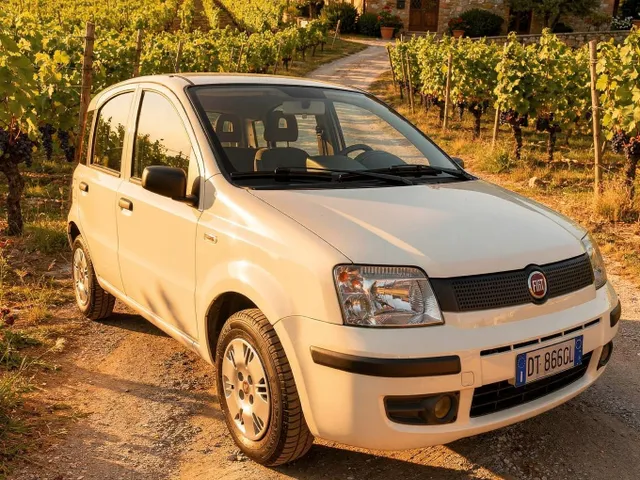BELLISSIMA FIAT PANDA CON 113.991 KM